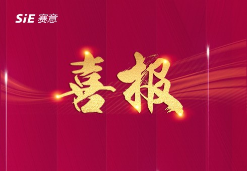 實(shí)力凸顯！賽意信息入選中國科學(xué)院《互聯(lián)網(wǎng)周刊》2個(gè)權(quán)威榜單